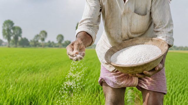 Telangana Pushes for Sufficient Fertilizer During Kharif Season | slot penghasil pulsa tanpa deposit